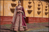 Raspberry Rhapsody  Lehenga set