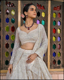 Regal Frost  Lehenga set