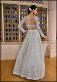 Regal Frost  Lehenga set