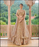 Champagne Charm  Lehenga set