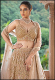 Champagne Charm  Lehenga set