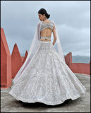 Celestial Shimmer  Lehenga set