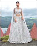 Celestial Shimmer  Lehenga set