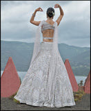 Celestial Shimmer  Lehenga set