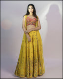 Rani Silk Mirror Pearl And Sequins Embroidered Choli With Yellow Organzha Jacket Plazho Set