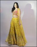 Rani Silk Mirror Pearl And Sequins Embroidered Choli With Yellow Organzha Jacket Plazho Set