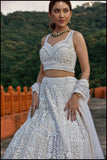 Frosted Finesse  Lehenga set