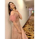 Vrushika Mehta - Dusky Pink Embroidered Gown