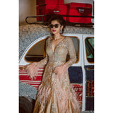 Gold Zardozi And Feathers Silk Gown