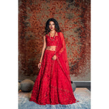Scarlet Red Bagh Embroidered Net Lehenga Set
