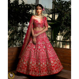 Cerise Pink And Red Abstract Nature Lehenga Set