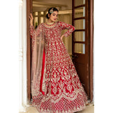 Deep Red And Gold Applique Bridal Anarkali Set